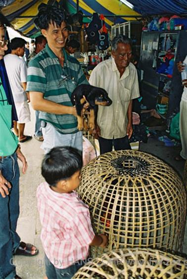 05 Thailand 2002 F1050022 Bangkok Wochenendmarkt_478